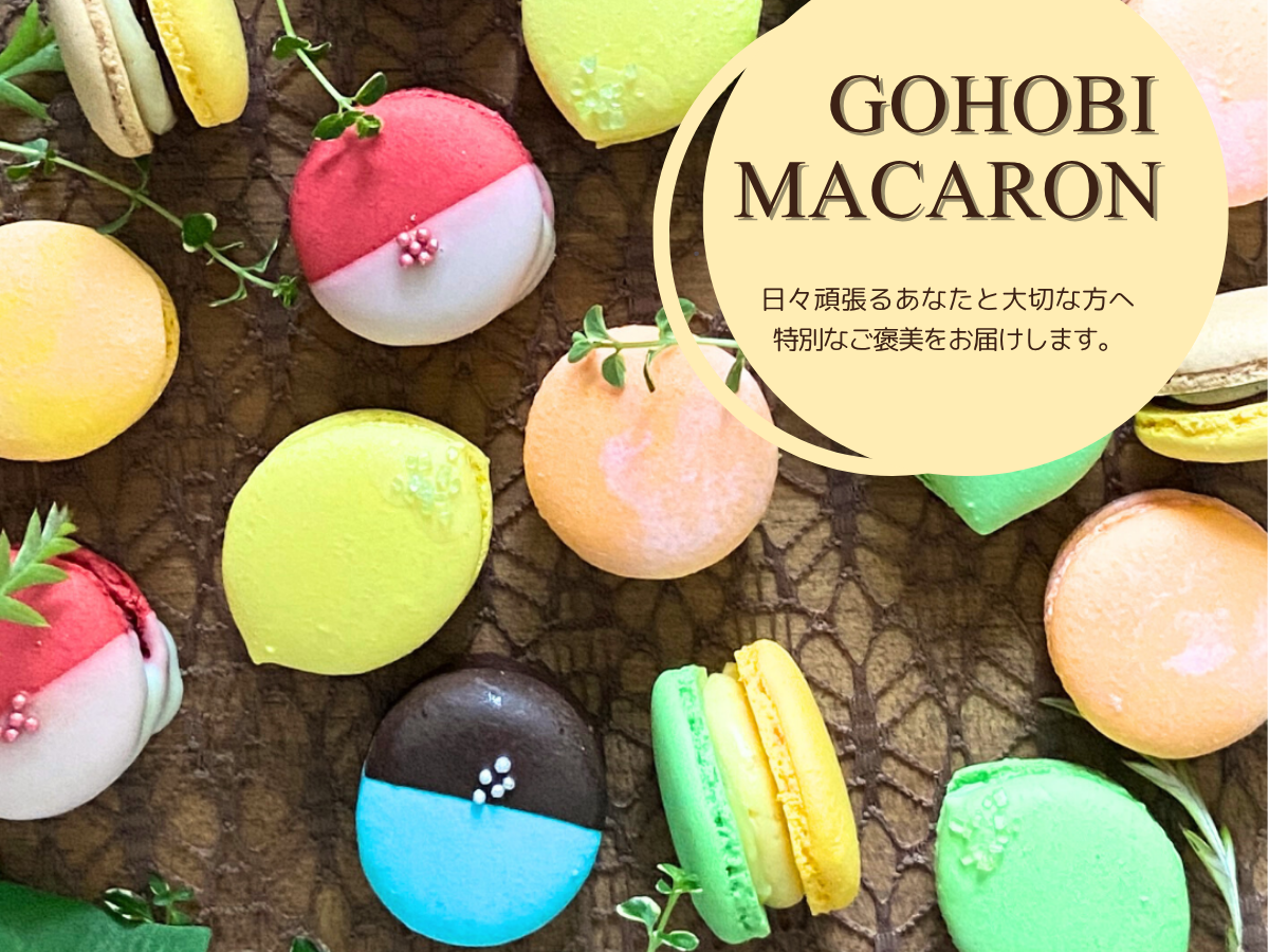 HYEON へヨン macaron blouse マカロンブラウス HYEON へヨン macaron blouse silky マカロンブラウス